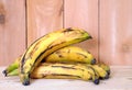 Banana plantain