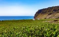 Banana plantation, Island La Palma, Canary Islands, Spain, Europe Royalty Free Stock Photo