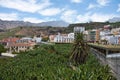 Banana Plantation La Palma, Canary Islands Royalty Free Stock Photo