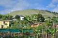 Banana Plantation on Madeira Island - West Funchal Royalty Free Stock Photo