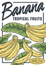 Banana poster. Summer exoic fruit and nuts design