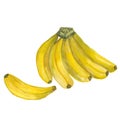 Banana. Ripe banana isolated