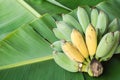 Banana Royalty Free Stock Photo