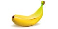 Banana ripe isolated. Realistic vector illustration