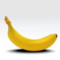 Banana. Ripe banana with shadow on white background. Re