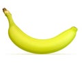 Banana ripe yellow and a some green vector illustration