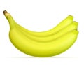 Banana ripe yellow and a some green vector illustration