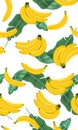 Banana seamless pattern with banana leaves, Bunch of ripe bananas on white background. Tropical fruit Royalty Free Stock Photo