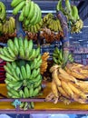 banana seller at the market Royalty Free Stock Photo