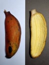 Banana skin Royalty Free Stock Photo