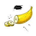 Banana sliced piece vector drawing. Isolated hand drawn object on white background. Summer fruit