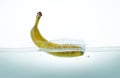 Banana splashing in water on white background. Royalty Free Stock Photo