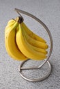 Banana in a steel hanger Royalty Free Stock Photo