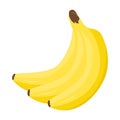 Banana. Three ripe bananas on a white background