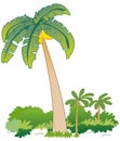 Banana tree