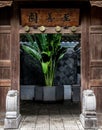 Banana Tree in a Chinese Courtyard at The National Palace Museum in Taipei, Taiwan.