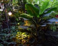 Banana tree and decorative park lamp