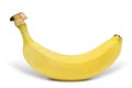 Banana tropical exotic fruit isolated Royalty Free Stock Photo