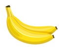 Banana. Two bananas in a bunch cartoon icon Royalty Free Stock Photo