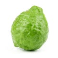 fresh bergamot fruit, Kaffir Lime, Citrus bergamia with leaf isolated on white background Royalty Free Stock Photo