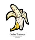 Banana vector isolated. Whole half peeled banana. Yellow fruits collection hand drawn. Food vegetarian logo icon sketch Royalty Free Stock Photo