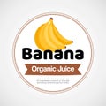 Banana vector label or logo illustration in circle isolated on white background. Bunch of yellow bananas. Organic food Royalty Free Stock Photo
