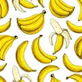 Banana vector seamless pattern. Isolated hand drawn bunch and peel banana Summer fruit artistic style Royalty Free Stock Photo