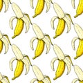 Banana vector seamless pattern. Isolated hand drawn peel object on white background. Summer fruit artistic