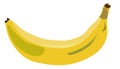 Banana vector single element illustration
