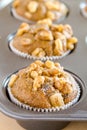 Banana Walnut and Chia Seed Muffins Royalty Free Stock Photo