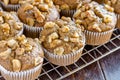 Banana Walnut and Chia Seed Muffins Royalty Free Stock Photo