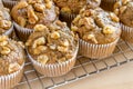 Banana Walnut and Chia Seed Muffins Royalty Free Stock Photo