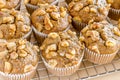 Banana Walnut and Chia Seed Muffins Royalty Free Stock Photo