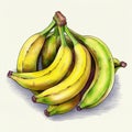 banana water color illustration