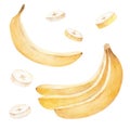 Banana watercolor clipart. Yellow tropical fruit. Food illustration isolated on white background.