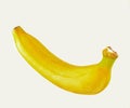 Banana white background Royalty Free Stock Photo