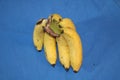 Banana is a wonderful food Royalty Free Stock Photo