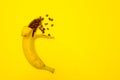 Banana on a yellow background