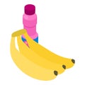 Banana yogurt icon isometric vector. Fresh banana bunch and closed yogurt bottle