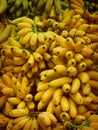 Bananas Royalty Free Stock Photo
