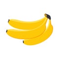 Bananas three pieces yellow sweet ripe exotic tropical fruit isolated on a white background.