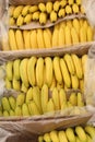 bananas on the box for sale at market Royalty Free Stock Photo