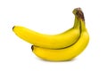 Bananas bunch