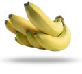 bananas. Bunch of bananas fruit  on white background. Ripe bananas with clipping path. Banana fruit close up. Ban Royalty Free Stock Photo