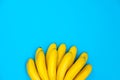 Bananas in bunch flat lay top view on blue backdrop