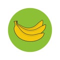 Bananas bunch graphic icon