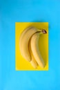 Bananas bunch Royalty Free Stock Photo