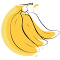 Bananas bunch vector illustration. yellow color