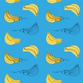 Bananas bunch vector seamless pattern. Yellow bananas on blue background Royalty Free Stock Photo