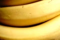 Bananas are close on a dark background.